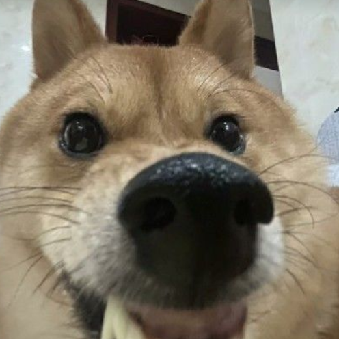 Yuhuanbeiye